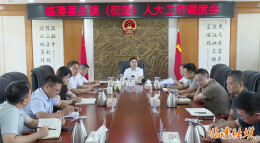 临澧县人大常委会召开乡镇（街道）人大工作调度会