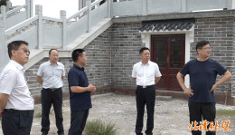 临澧县领导调研刻木山乡桃树村乡村振兴工作