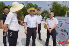 云溪区委区政府主要领导开展群众身边不正之风和腐败问题集中整治工作专题调研督导