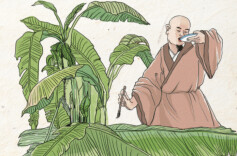 天地悠然一怀素