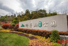 获评长沙市最美公园，狮子山公园凭什么？