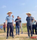 县领导调度佘市桥镇歇驾村乡村振兴工作