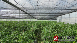 江华：屈代年入选永州市十佳农民