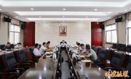 李雨初主持召开临澧县委常委会会议