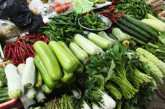 好消息！蔬菜价格开始回落