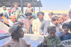 阿富汗游记：赫拉特的玫瑰