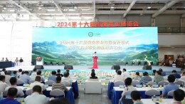 第十六届湖南茶博会成功举办，湖南省茶业集团全程参展好评如潮