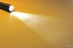 江苏扬州官宣：国庆假期，继续向游客开放市政府食堂和停车位