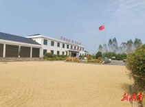 叶家庙社区：开院晒粮暖民心