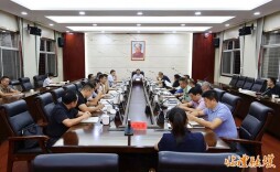 李雨初主持召开临澧县委常委会会议