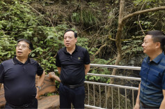 省民政厅调研指导罗家水村乡村振兴驻村帮扶工作