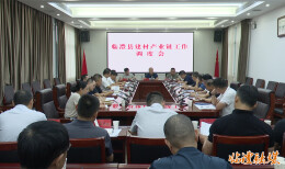 胡彬彬主持召开临澧县建材产业链工作调度会