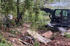 岳阳市云溪区：守护清水绿岸，共建美丽家园