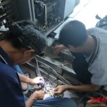 曹家坡社区：居民众筹解电梯安全隐患