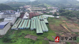 江华：多菌齐放  多元化发展激发新动能