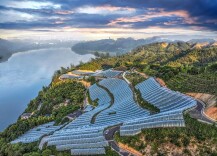 洪江市：果园采摘“热” 葡萄入心“甜”