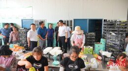 王启武调研葡萄产业高质量发展工作