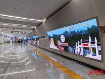 2024年“你学法我送票”答题抽奖即将结束