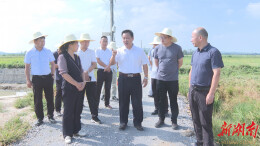 市领导率队来澧调研高标准农田建设情况