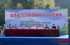 临澧县佘市桥镇： 以“练”为“战”，筑牢森林防灭火“安全墙”