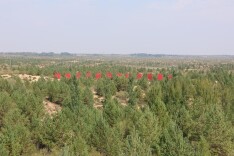 高质量发展看陕西·榆林②｜不毛之地→万亩绿洲 看榆阳区如何让林海“生金”