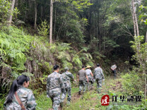 江华水口镇：乡镇林长集体巡林