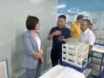 发挥统一战线强大法宝作用 助力民营经济高质量发展