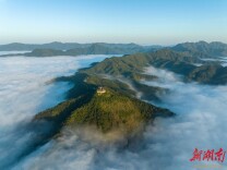 弘扬洪商文化 ，推动文旅产业高质量发展