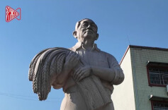 视频｜这里的“稻”元素，你发现了几个？