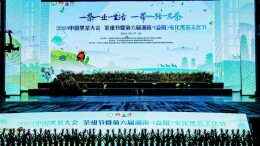 “2024中国黑茶大会 茶祖节暨第六届安化黑茶文化节”举行，省茶业集团获多项荣誉