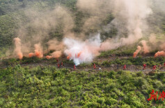 道县：开展森林火灾扑救实战演练和技能比武 不断提升应急处置能力
