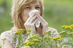 花粉季更难熬了？专家：或与全球变暖有关