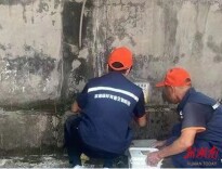 临澧县新安镇：全面四害消杀行动，打造宜居健康环境