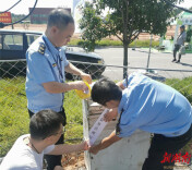 株洲取缔2处非法经营游乐设施 提醒：临时设施存隐患