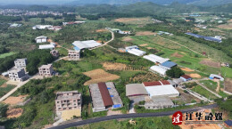 江华：黑皮鸡枞菌采收忙 产业路畅通致富路