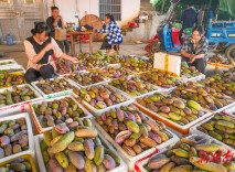 （图片新闻）道县：八月瓜熟果飘香