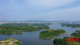 岳阳市云溪区：守护一湖清水，共筑生态屏障