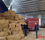 永顺强化农事综合管理 改善农业生产环境