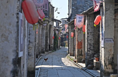 运江古镇：千年江流锁乡愁