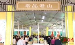 君山亮相茶博会暨大美岳阳绿色食品博览会