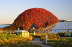 波兰华沙：屋顶花园
