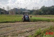 万佛山镇：金秋十月好“丰”光，田间地头栽种忙