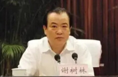 湖南检察机关依法对谢树林涉嫌受贿、徇私枉法案提起公诉