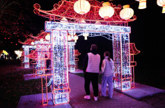 克拉科夫的“灯光小世界”