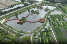 水利部发布10起河湖库“清四乱”典型案例①江苏省扬中市经济开发区厂房侵占长江河道案