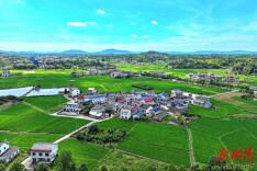 庭院经济绘“丰景” “方寸地”变“致富园”