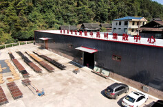 增资扩产提效益 铆足干劲忙生产