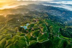 ​会同跻身国家生态低碳茶整建制推进试点县