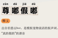 经武快评丨适度“玩梗”，切勿网感太重