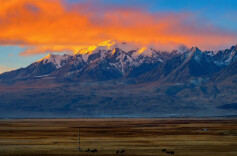 王勇：南疆之行，说不尽道不完的美